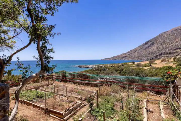 Traditional Stone House By The Sea... Καπετανιανά Εξωτερικό φωτογραφία